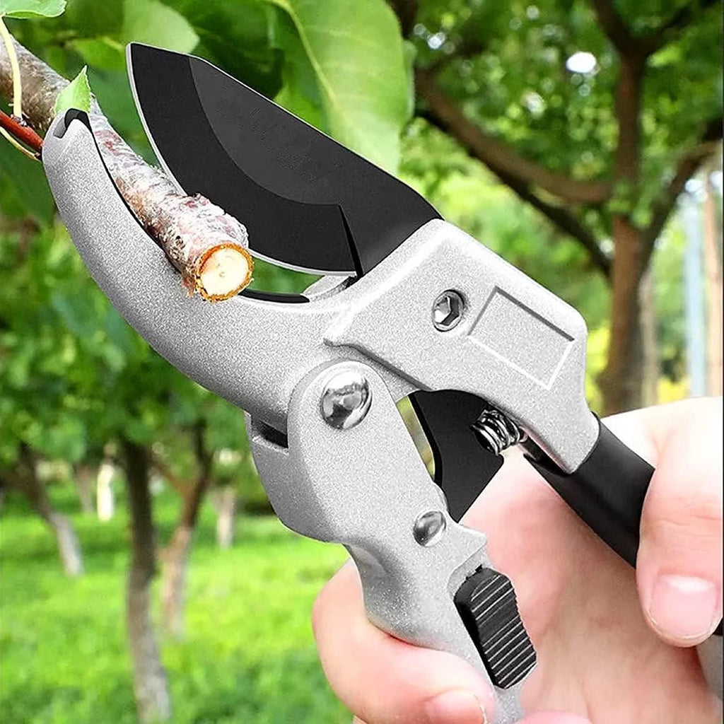 Pruning Shears